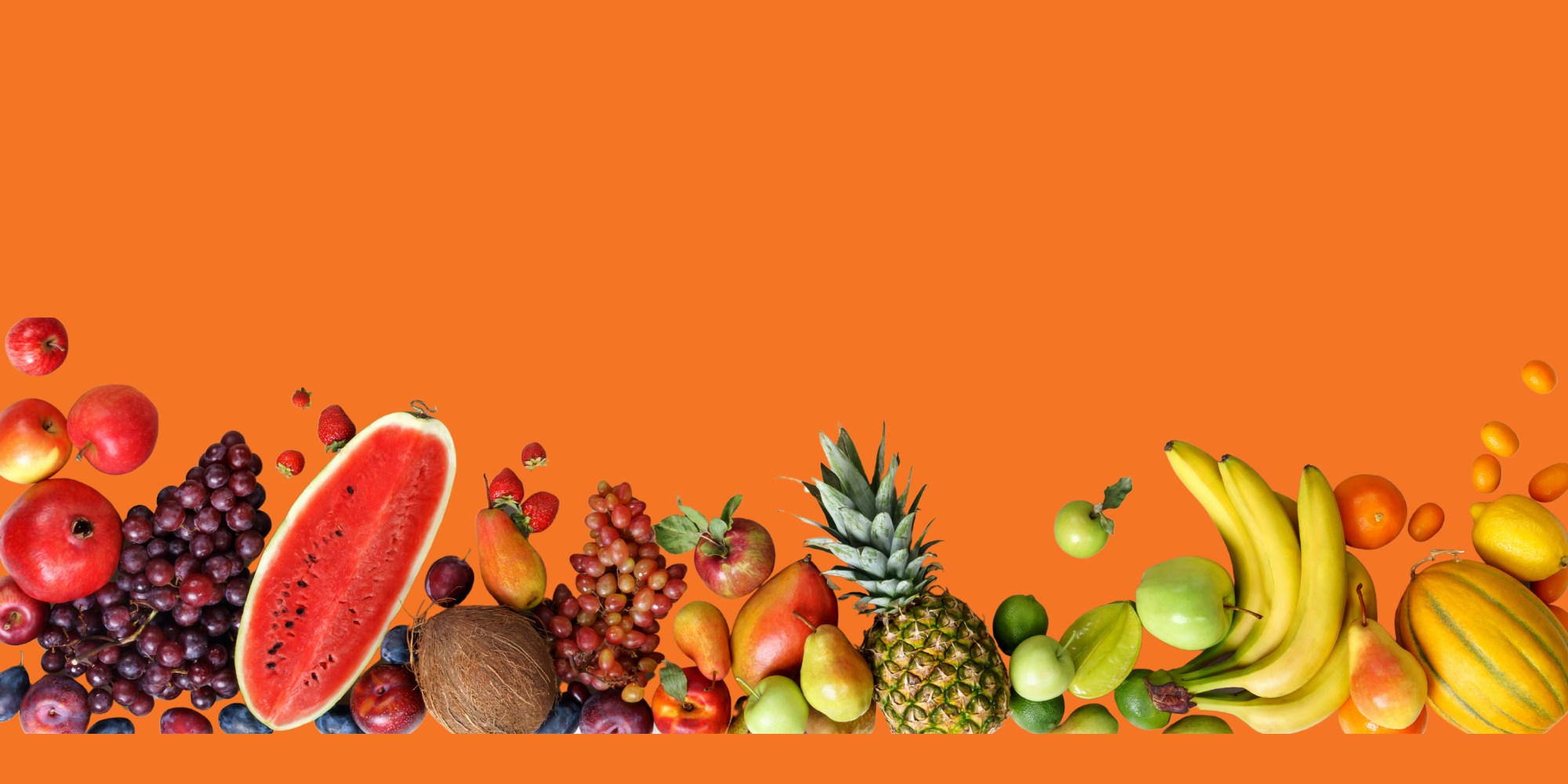 Banner_6.png